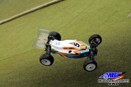 2015 DM 4WD Buggy 4WD Juni